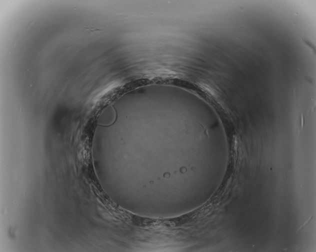 X0000103251063200809041104