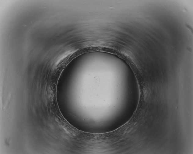 X0000103251064200809041104