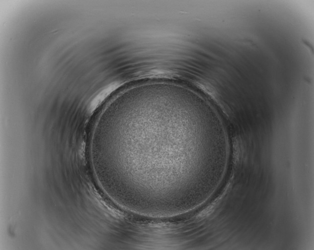 X0000103251066200809041104