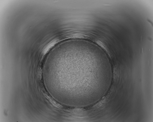 X0000103251067200809041104