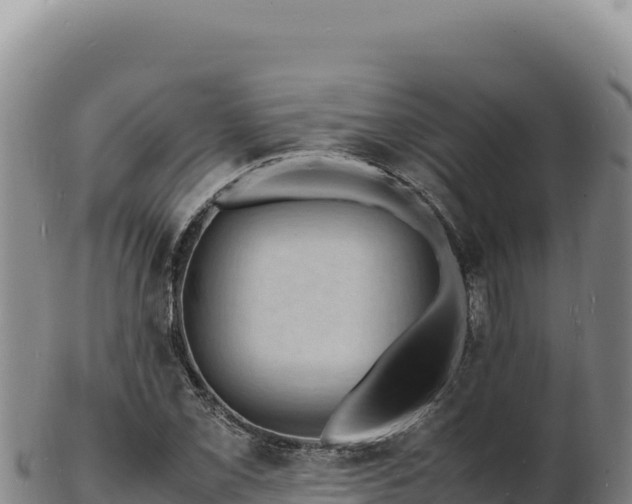 X0000103251069200809041104