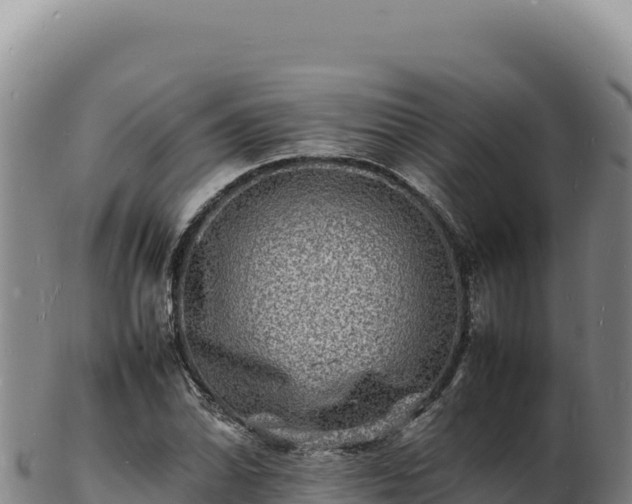 X0000103251070200809041104
