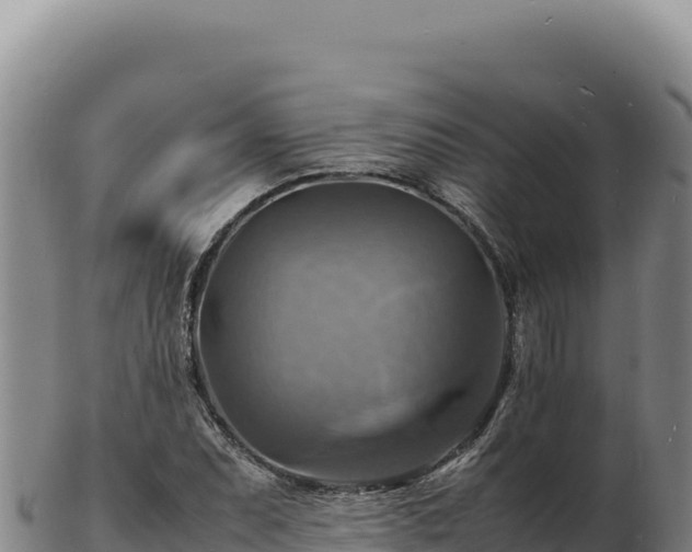 X0000103251071200809041104