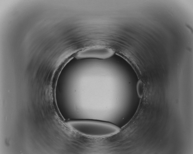 X0000103251072200809041104