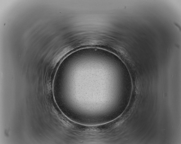 X0000103251073200809041104