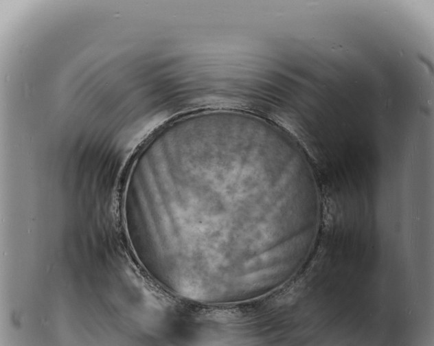 X0000103251074200809041104