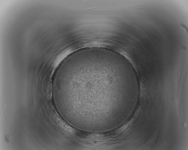 X0000103251075200809041104