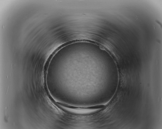 X0000103251076200809041104