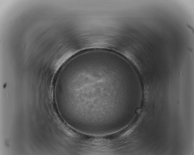 X0000103251077200809041104