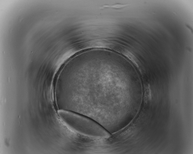 X0000103251080200809041104