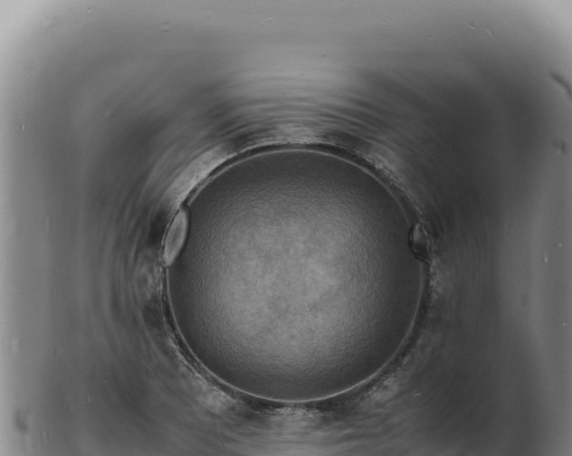 X0000103251081200809041104
