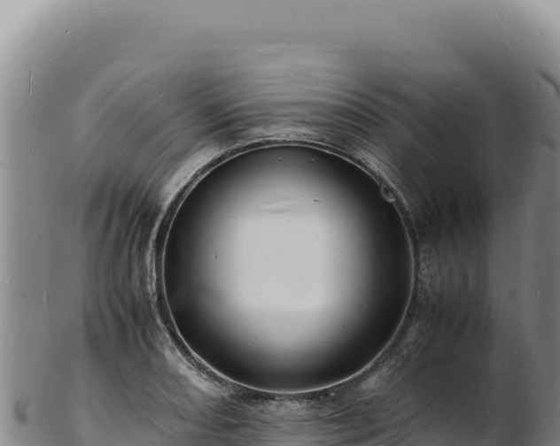 X0000103251082200809041104