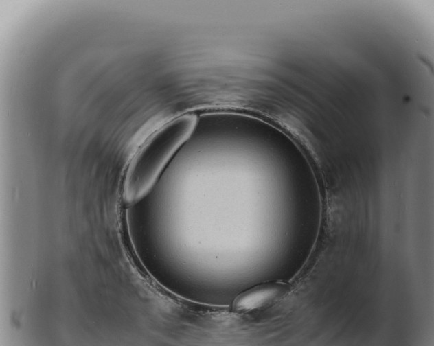 X0000103251085200809041104