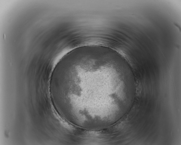 X0000103251086200809041104