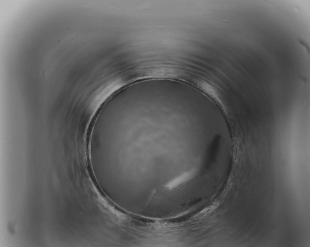 X0000103251087200809041104