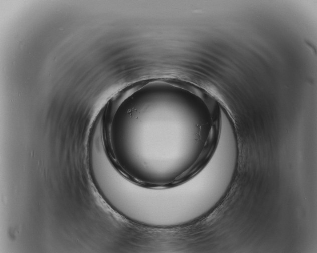 X0000103251088200809041104