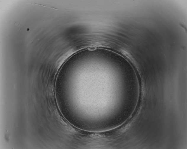 X0000103251089200809041104