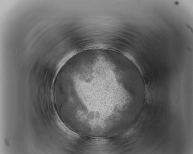 X0000103251090200809041104