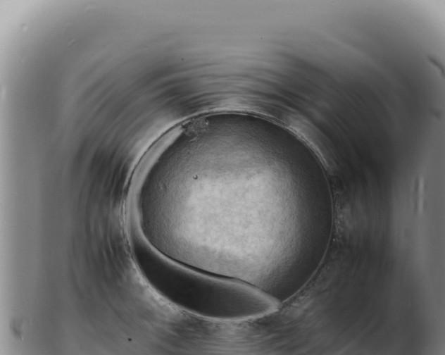 X0000103251092200809041103