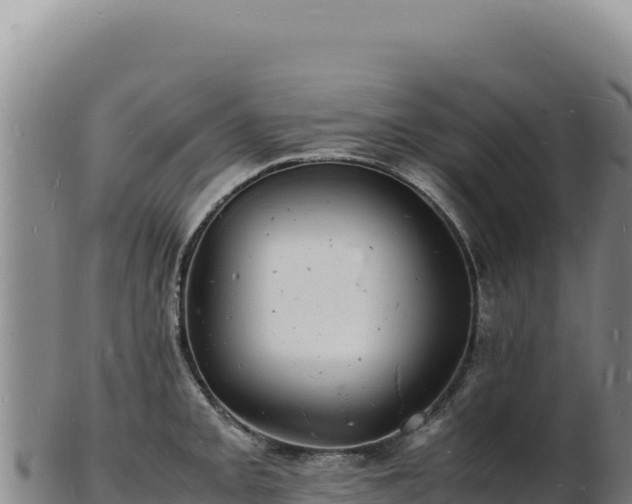 X0000103251093200809041103
