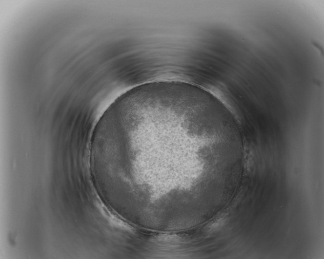 X0000103251094200809041103