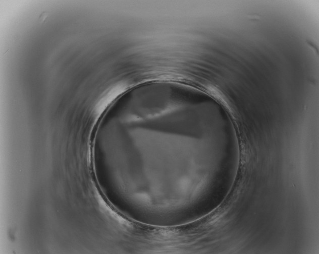 X0000103251095200809041103