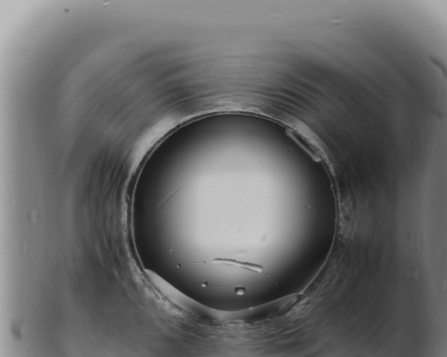 X0000103251096200809041103
