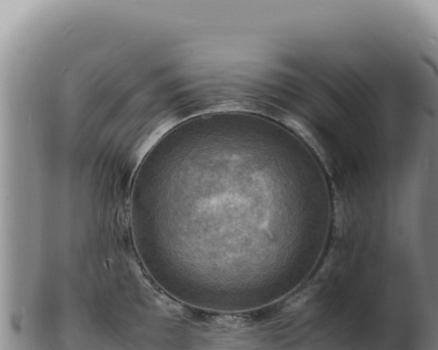 X0000103251097200809041103