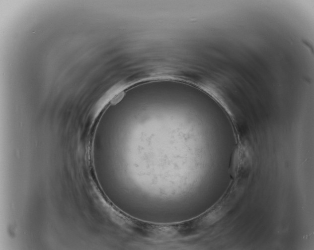X0000103251101200809041103
