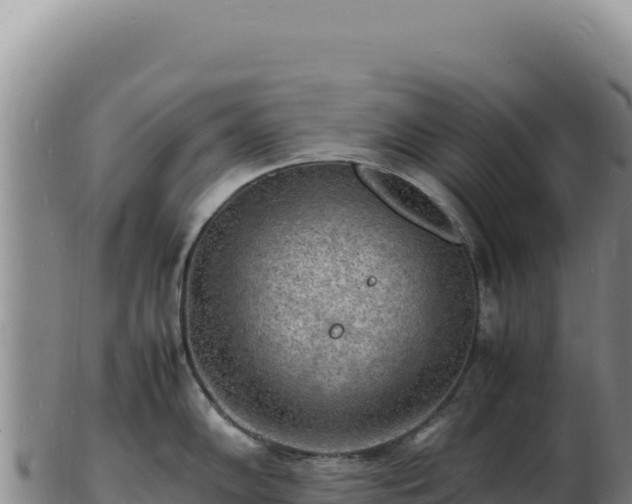 X0000103251102200809041103