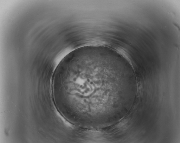 X0000103251103200809041103