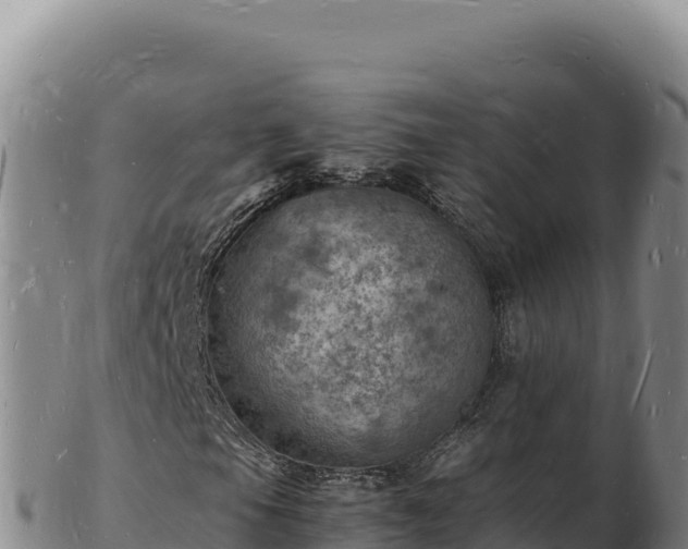 X0000103251105200809041103