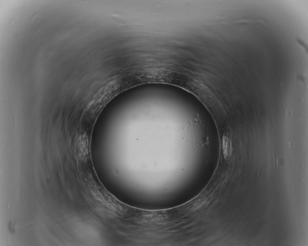 X0000103251107200809041103