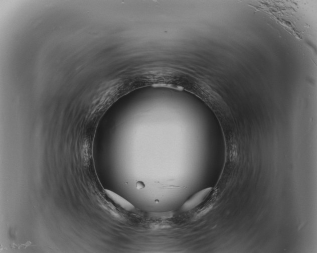 X0000103251108200809041103