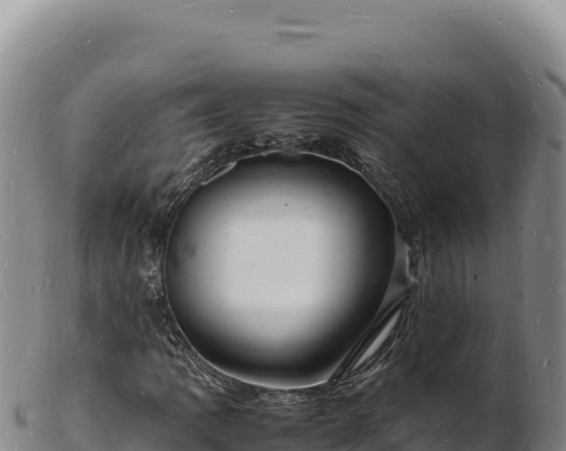 X0000103251109200809041103
