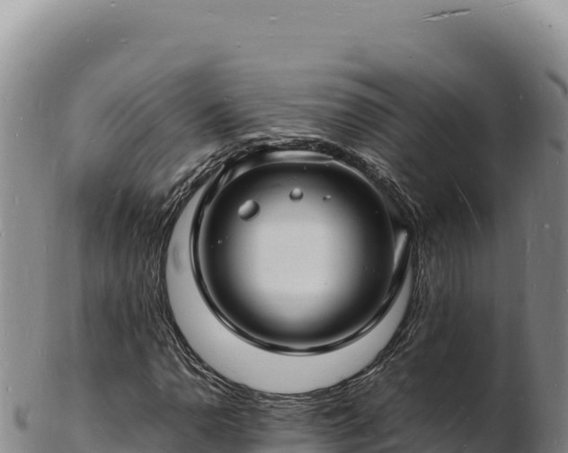 X0000103251110200809041103