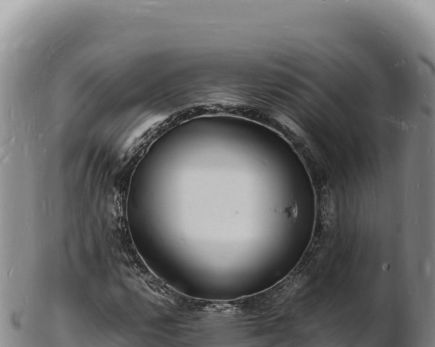 X0000103251112200809041103