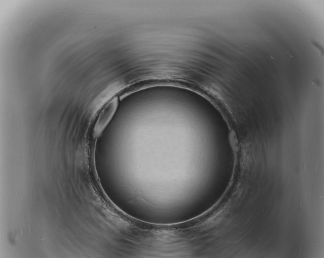 X0000103251114200809041103