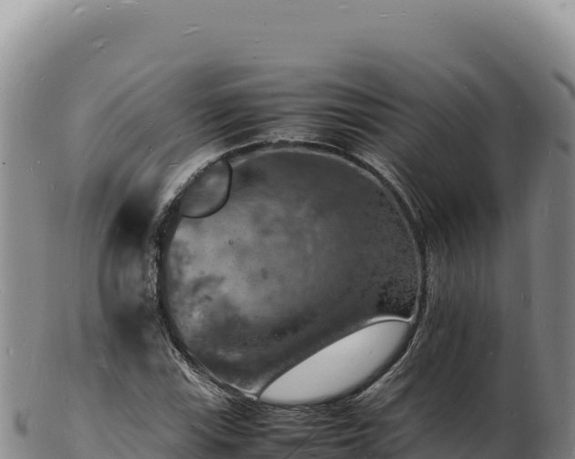 X0000103251115200809041103