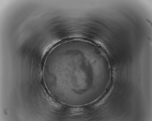 X0000103251117200809041103