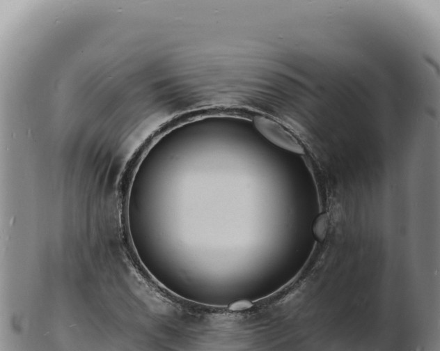 X0000103251118200809041103