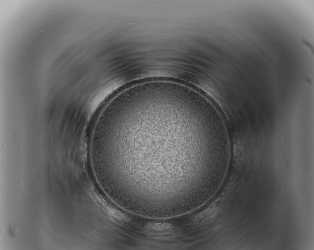X0000103251119200809041103