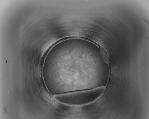 X0000103251120200809041103