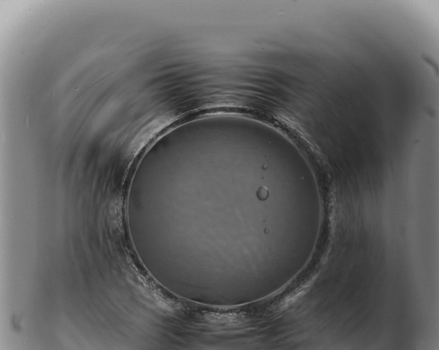 X0000103251121200809041103