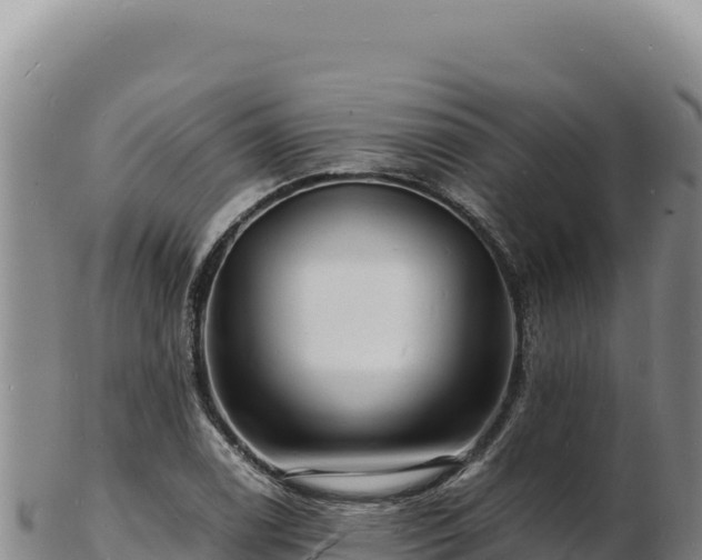 X0000103251122200809041103