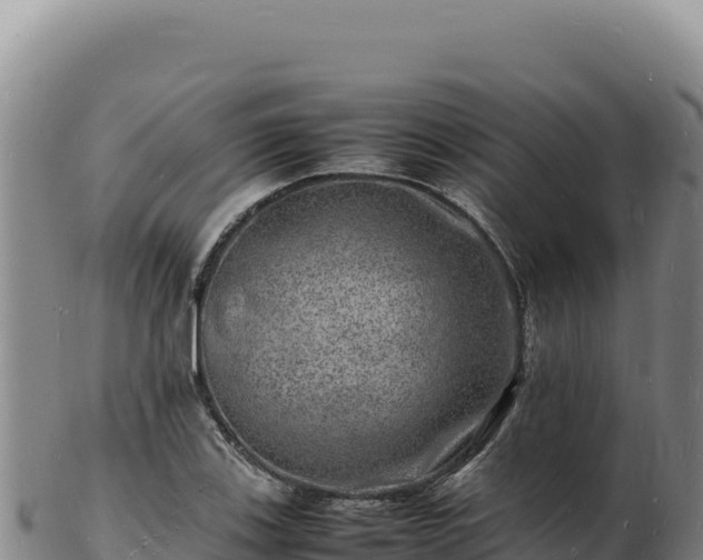 X0000103251123200809041103