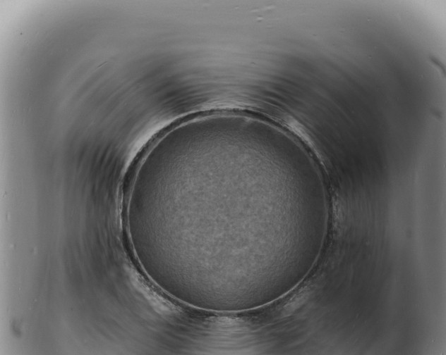 X0000103251124200809041103