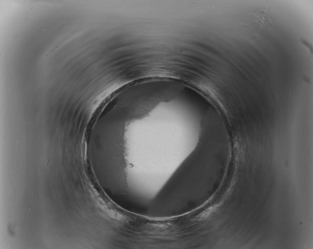 X0000103251125200809041103