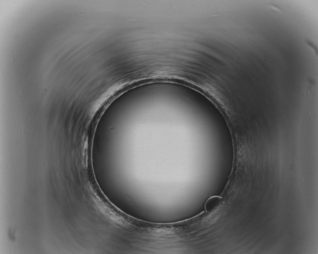 X0000103251126200809041103