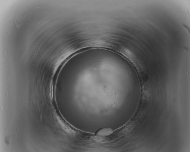 X0000103251128200809041103